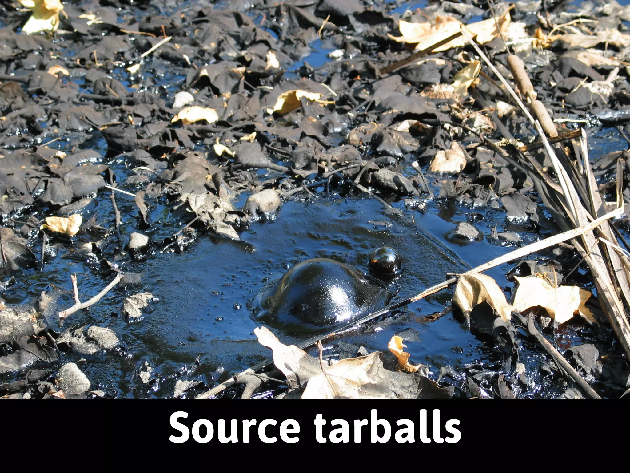 What are some alternatives? 
 