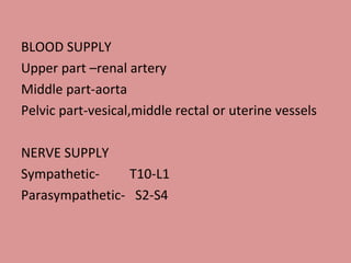 BLOOD SUPPLY Upper part –renal artery Middle part-aorta Pelvic part-vesical,middle rectal or uterine vessels NERVE SUPPLY Sympathetic-  T10-L1 Parasympathetic-  S2-S4 