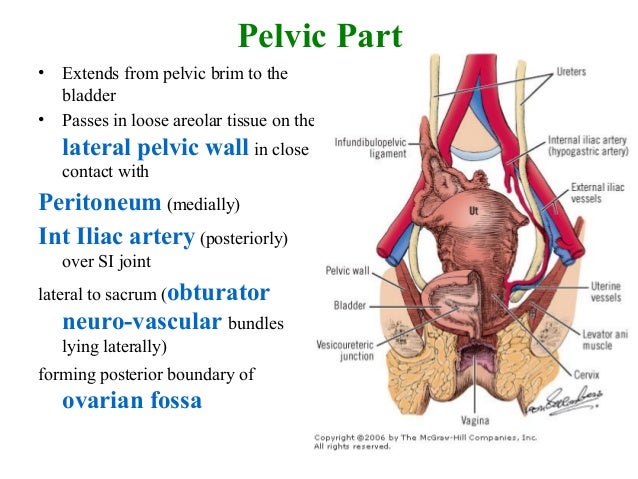 Ureteric Injury at Gynaecological Surgery