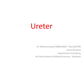 Ureter
Dr. Mathew Joseph MBBS,MD(2nd Year),BCCPM
Junior Resident
Department of Anatomy
All India Institute of Medical Sciences - Rishikesh
 