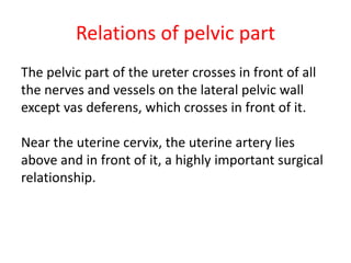 Relations of pelvic part
The pelvic part of the ureter crosses in front of all
the nerves and vessels on the lateral pelvic wall
except vas deferens, which crosses in front of it.
Near the uterine cervix, the uterine artery lies
above and in front of it, a highly important surgical
relationship.
 