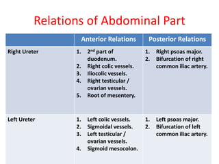 Relations of Abdominal Part
Anterior Relations Posterior Relations
Right Ureter 1. 2nd part of
duodenum.
2. Right colic vessels.
3. Iliocolic vessels.
4. Right testicular /
ovarian vessels.
5. Root of mesentery.
1. Right psoas major.
2. Bifurcation of right
common iliac artery.
Left Ureter 1. Left colic vessels.
2. Sigmoidal vessels.
3. Left testicular /
ovarian vessels.
4. Sigmoid mesocolon.
1. Left psoas major.
2. Bifurcation of left
common iliac artery.
 