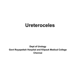 Ureteroceles
Dept of Urology
Govt Royapettah Hospital and Kilpauk Medical College
Chennai
 