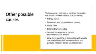 Other possible
causes
Various causes intrinsic or extrinsic the ureter
can lead to ureteral obstruction, including:
• Kidney stones
• Cancerous and noncancerous tumors
• Blood clots
• Enlarged lymph nodes
• Internal tissue growth, such as
endometriosis in females
• Long-term swelling of the ureter wall, usually
due to diseases such as tuberculosis or a
parasite infection called schistosomiasis
 