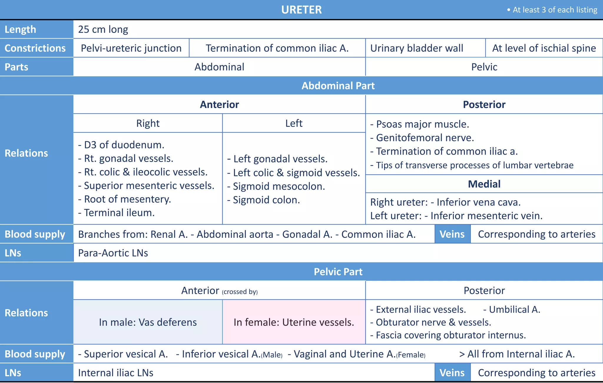 URETER
Length 25 cm long
Constrictions Pelvi-ureteric junction Termination of common iliac A. Urinary bladder wall At level of ischial spine
Parts Abdominal Pelvic
Abdominal Part
Relations
Anterior Posterior
Right Left - Psoas major muscle.
- Genitofemoral nerve.
- Termination of common iliac a.
- Tips of transverse processes of lumbar vertebrae
- D3 of duodenum.
- Rt. gonadal vessels.
- Rt. colic & ileocolic vessels.
- Superior mesenteric vessels.
- Root of mesentery.
- Terminal ileum.
- Left gonadal vessels.
- Left colic & sigmoid vessels.
- Sigmoid mesocolon.
- Sigmoid colon.
Medial
Right ureter: - Inferior vena cava.
Left ureter: - Inferior mesenteric vein.
Blood supply Branches from: Renal A. - Abdominal aorta - Gonadal A. - Common iliac A. Veins Corresponding to arteries
LNs Para-Aortic LNs
Pelvic Part
Relations
Anterior (crossed by) Posterior
In male: Vas deferens In female: Uterine vessels.
- External iliac vessels. - Umbilical A.
- Obturator nerve & vessels.
- Fascia covering obturator internus.
Blood supply - Superior vesical A. - Inferior vesical A.(Male) - Vaginal and Uterine A.(Female) > All from Internal iliac A.
LNs Internal iliac LNs Veins Corresponding to arteries
• At least 3 of each listing
 