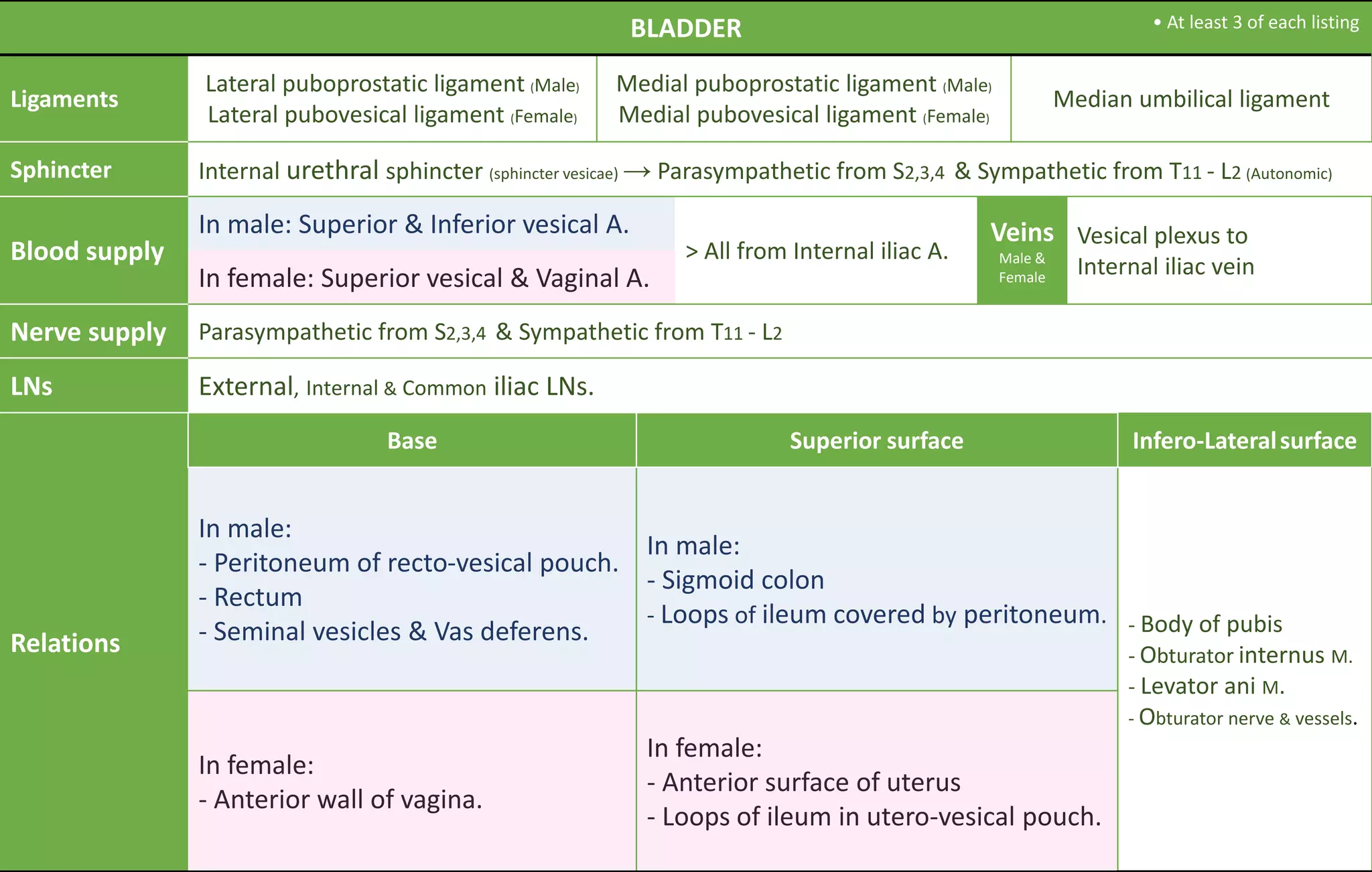 BLADDER
Ligaments
Lateral puboprostatic ligament (Male)
Lateral pubovesical ligament (Female)
Medial puboprostatic ligament (Male)
Medial pubovesical ligament (Female)
Median umbilical ligament
Sphincter Internal urethral sphincter (sphincter vesicae) → Parasympathetic from S2,3,4 & Sympathetic from T11 - L2 (Autonomic)
Blood supply
In male: Superior & Inferior vesical A.
> All from Internal iliac A.
Veins
Male &
Female
Vesical plexus to
Internal iliac veinIn female: Superior vesical & Vaginal A.
Nerve supply Parasympathetic from S2,3,4 & Sympathetic from T11 - L2
LNs External, Internal & Common iliac LNs.
Relations
Base Superior surface Infero-Lateralsurface
In male:
- Peritoneum of recto-vesical pouch.
- Rectum
- Seminal vesicles & Vas deferens.
In male:
- Sigmoid colon
- Loops of ileum covered by peritoneum. - Body of pubis
- Obturator internus M.
- Levator ani M.
- Obturator nerve & vessels.
In female:
- Anterior wall of vagina.
In female:
- Anterior surface of uterus
- Loops of ileum in utero-vesical pouch.
• At least 3 of each listing
 