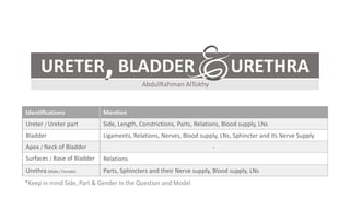 Identifications Mention
Ureter / Ureter part Side, Length, Constrictions, Parts, Relations, Blood supply, LNs
Bladder Ligaments, Relations, Nerves, Blood supply, LNs, Sphincter and its Nerve Supply
Apex / Neck of Bladder -
Surfaces / Base of Bladder Relations
Urethra (Male / Female) Parts, Sphincters and their Nerve supply, Blood supply, LNs
URETER BLADDER URETHRA,
*Keep in mind Side, Part & Gender In the Question and Model
 