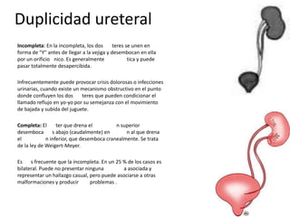 Duplicidad ureteral
Incompleta: En la incompleta, los dos teres se unen en
forma de "Y" antes de llegar a la vejiga y desembocan en ella
por un orificio nico. Es generalmente tica y puede
pasar totalmente desapercibida.
Infrecuentemente puede provocar crisis dolorosas o infecciones
urinarias, cuando existe un mecanismo obstructivo en el punto
donde confluyen los dos teres que pueden condicionar el
llamado reflujo en yo-yo por su semejanza con el movimiento
de bajada y subida del juguete.
Completa: El ter que drena el n superior
desemboca s abajo (caudalmente) en n al que drena
el n inferior, que desemboca cranealmente. Se trata
de la ley de Weigert-Meyer.
Es s frecuente que la incompleta. En un 25 % de los casos es
bilateral. Puede no presentar ninguna a asociada y
representar un hallazgo casual, pero puede asociarse a otras
malformaciones y producir problemas .
 