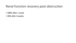 Renal function recovery post obstruction
• 100% after 1 week
• 30% after 4 weeks
 
