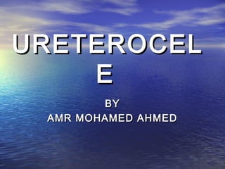 URETEROCELURETEROCEL
EE
BYBY
AMR MOHAMED AHMEDAMR MOHAMED AHMED
 