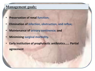 Management goals:
• Preservation of renal function;
• Elimination of infection, obstruction, and reflux;
• Maintenance of urinary continence; and
• Minimizing surgical morbidity.
• Early institution of prophylactic antibiotics…… Partial
agreement
 