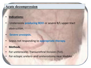 Acute decompression
• Indications:
• Ureterocele producing BOO or severe B/L upper tract
obstruction.
• Severe urosepsis.
• Sepsis not responding to appropriate therapy.
• Methods
• For ureterocele- Transurethral Incision (TUI).
• For ectopic ureters- end ureterostomy near bladder.
 