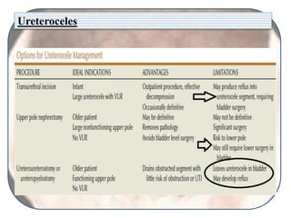 Ureteroceles
 