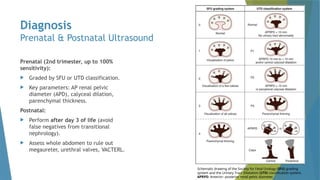 Ureteropelvic Junction (UPJ) Obstruction.pptx