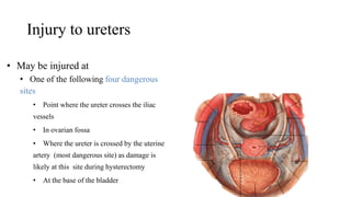 Injury to ureters
• May be injured at
• One of the following four dangerous
sites
• Point where the ureter crosses the iliac
vessels
• In ovarian fossa
• Where the ureter is crossed by the uterine
artery (most dangerous site) as damage is
likely at this site during hysterectomy
• At the base of the bladder
 