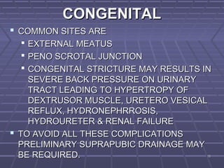 1515
 COMMON SITES ARECOMMON SITES ARE
 EXTERNAL MEATUSEXTERNAL MEATUS
 PENO SCROTAL JUNCTIONPENO SCROTAL JUNCTION
 CONGENITAL STRICTURE MAY RESULTS INCONGENITAL STRICTURE MAY RESULTS IN
SEVERE BACK PRESSURE ON URINARYSEVERE BACK PRESSURE ON URINARY
TRACT LEADING TO HYPERTROPY OFTRACT LEADING TO HYPERTROPY OF
DEXTRUSOR MUSCLE, URETERO VESICALDEXTRUSOR MUSCLE, URETERO VESICAL
REFLUX, HYDRONEPHRROSIS,REFLUX, HYDRONEPHRROSIS,
HYDROURETER & RENAL FAILUREHYDROURETER & RENAL FAILURE
 TO AVOID ALL THESE COMPLICATIONSTO AVOID ALL THESE COMPLICATIONS
PRELIMINARY SUPRAPUBIC DRAINAGE MAYPRELIMINARY SUPRAPUBIC DRAINAGE MAY
BE REQUIRED.BE REQUIRED.
CONGENITALCONGENITAL
 