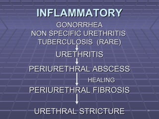1818
INFLAMMATORYINFLAMMATORY
GONORRHEAGONORRHEA
NON SPECIFIC URETHRITISNON SPECIFIC URETHRITIS
TUBERCULOSIS (RARE)TUBERCULOSIS (RARE)
URETHRITISURETHRITIS
PERIURETHRAL ABSCESSPERIURETHRAL ABSCESS
PERIURETHRAL FIBROSISPERIURETHRAL FIBROSIS
URETHRAL STRICTUREURETHRAL STRICTURE
HEALINGHEALING
 