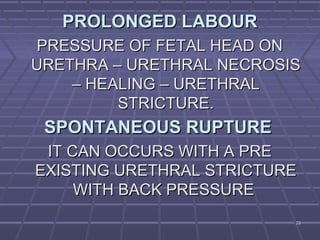 2323
PROLONGED LABOURPROLONGED LABOUR
PRESSURE OF FETAL HEAD ONPRESSURE OF FETAL HEAD ON
URETHRA – URETHRAL NECROSISURETHRA – URETHRAL NECROSIS
– HEALING – URETHRAL– HEALING – URETHRAL
STRICTURE.STRICTURE.
SPONTANEOUS RUPTURESPONTANEOUS RUPTURE
IT CAN OCCURS WITH A PREIT CAN OCCURS WITH A PRE
EXISTING URETHRAL STRICTUREEXISTING URETHRAL STRICTURE
WITH BACK PRESSUREWITH BACK PRESSURE
 