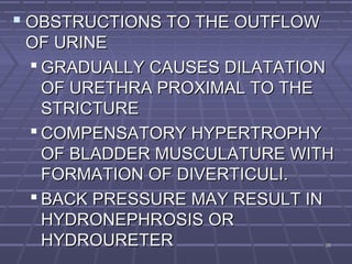 2626
 OBSTRUCTIONS TO THE OUTFLOWOBSTRUCTIONS TO THE OUTFLOW
OF URINEOF URINE
 GRADUALLY CAUSES DILATATIONGRADUALLY CAUSES DILATATION
OF URETHRA PROXIMAL TO THEOF URETHRA PROXIMAL TO THE
STRICTURESTRICTURE
 COMPENSATORY HYPERTROPHYCOMPENSATORY HYPERTROPHY
OF BLADDER MUSCULATURE WITHOF BLADDER MUSCULATURE WITH
FORMATION OF DIVERTICULI.FORMATION OF DIVERTICULI.
 BACK PRESSURE MAY RESULT INBACK PRESSURE MAY RESULT IN
HYDRONEPHROSIS ORHYDRONEPHROSIS OR
HYDROURETERHYDROURETER
 