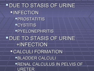 2727
 DUE TO STASIS OF URINEDUE TO STASIS OF URINE
 INFECTIONINFECTION
PROSTATITISPROSTATITIS
CYSTITISCYSTITIS
PYELONEPHRITISPYELONEPHRITIS
 DUE TO STASIS OF URINEDUE TO STASIS OF URINE
+INFECTION+INFECTION
 CALCULI FORMATIONCALCULI FORMATION
BLADDER CALCULIBLADDER CALCULI
RENAL CALCULUS IN PELVIS OFRENAL CALCULUS IN PELVIS OF
URETERURETER
 