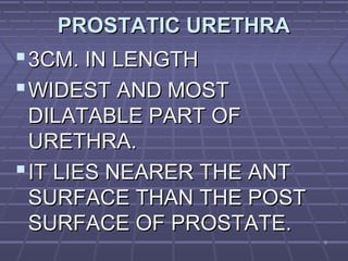 55
PROSTATIC URETHRAPROSTATIC URETHRA
3CM. IN LENGTH3CM. IN LENGTH
WIDEST AND MOSTWIDEST AND MOST
DILATABLE PART OFDILATABLE PART OF
URETHRA.URETHRA.
IT LIES NEARER THE ANTIT LIES NEARER THE ANT
SURFACE THAN THE POSTSURFACE THAN THE POST
SURFACE OF PROSTATE.SURFACE OF PROSTATE.
 