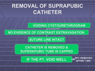 9191
REMOVAL OF SUPRAPUBIC
CATHETER
VOIDING CYSTOURETHROGRAM
NO EVIDENCE OF CONTRAST EXTRAVASATION
SUTURE LINE INTACT
CATHETER IS REMOVED &
SUPERAPUBIC TUBE IS CAPPED
IF THE PT. VOID WELL
SPC REMOVED
AFTER 1 WK.
 