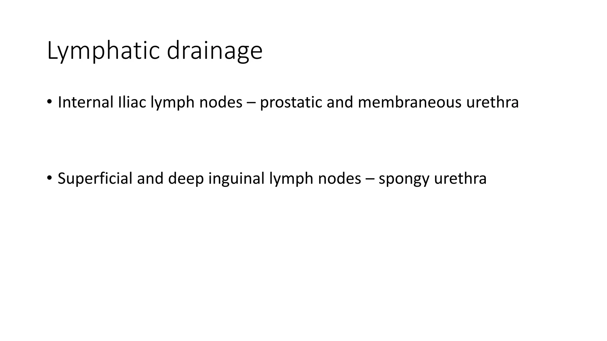 Lymphatic drainage
• Internal Iliac lymph nodes – prostatic and membraneous urethra
• Superficial and deep inguinal lymph nodes – spongy urethra