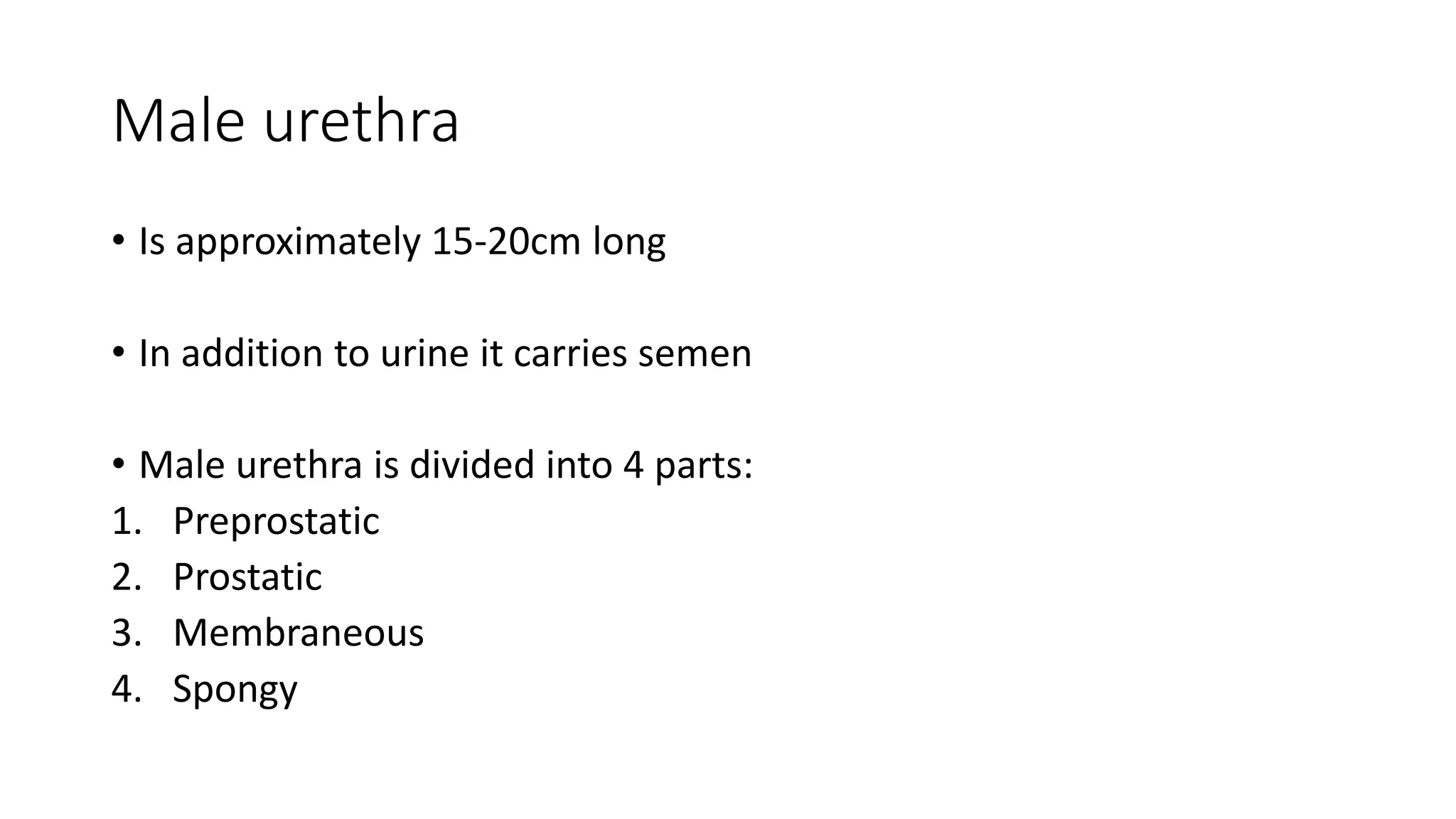 Male urethra
• Is approximately 15-20cm long
• In addition to urine it carries semen
• Male urethra is divided into 4 parts:
1. Preprostatic
2. Prostatic
3. Membraneous
4. Spongy