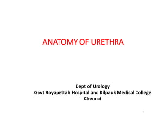 ANATOMY OF URETHRA
Dept of Urology
Govt Royapettah Hospital and Kilpauk Medical College
Chennai
1
 