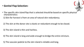 • Genital Flap Selection:
• The specific skin island flap that is selected should be based on specific physical
characteristics:
1) Skin for harvest is from an area of natural skin redundancy.
2) The skin at the donor site is elastic or redundant enough to be closed.
3) The skin island is thin and hairless.
4) The skin island is long and wide enough to bridge the entire stricture.
5) The vascular pedicle to the skin island is reliable and long.
 