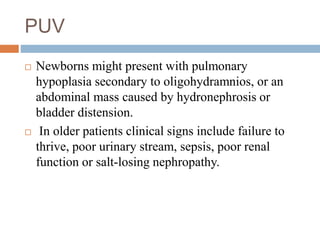 PUV
 Newborns might present with pulmonary
hypoplasia secondary to oligohydramnios, or an
abdominal mass caused by hydronephrosis or
bladder distension.
 In older patients clinical signs include failure to
thrive, poor urinary stream, sepsis, poor renal
function or salt-losing nephropathy.
 