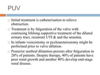 PUV
 Initial treatment is catheterisation to relieve
obstruction.
 Treatment is by fulguration of the valve with
continuing lifelong supportive treatment of the dilated
urinary tract, recurrent UTI & and the uraemia.
 In infants vesicostomy or pyeloureterostomy might be
performed prior to valve ablation.
 Posterior urethral dilatation persists after fulguration in
20% of patients. Despite therapy, 40% of patients have
poor renal growth and another 40% develop end-stage
renal disease.
 