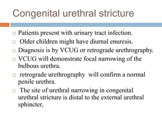 Congenital urethral stricture
 Patients present with urinary tract infection.
 Older children might have diurnal enuresis.
 Diagnosis is by VCUG or retrograde urethrography.
 VCUG will demonstrate focal narrowing of the
bulbous urethra.
 retrograde urethrography will confirm a normal
penile urethra.
 The site of urethral narrowing in congenital
urethral stricture is distal to the external urethral
sphincter,
 