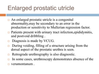 Enlarged prostatic utricle
 An enlarged prostatic utricle is a congenital
abnormality,may be secondary to an error in the
production or sensitivity to Mullerian regression factor.
 Patients present with urinary tract infection,epididymitis,
and postvoid dribbling .
 Diagnosis is made by VCUG.
 During voiding, filling of a structure arising from the
dorsal aspect of the prostatic urethra is seen.
 Retrograde urethrography is also diagnostic.
 In some cases, urethroscopy demonstrates absence of the
 verumontanum .
 