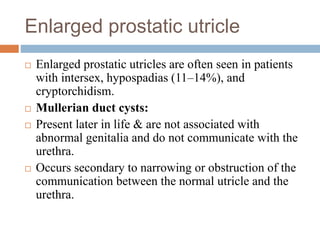 Enlarged prostatic utricle
 Enlarged prostatic utricles are often seen in patients
with intersex, hypospadias (11–14%), and
cryptorchidism.
 Mullerian duct cysts:
 Present later in life & are not associated with
abnormal genitalia and do not communicate with the
urethra.
 Occurs secondary to narrowing or obstruction of the
communication between the normal utricle and the
urethra.
 