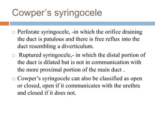Cowper’s syringocele
 Perforate syringocele, -in which the orifice draining
the duct is patulous and there is free reflux into the
duct resembling a diverticulum.
 Ruptured syringocele,- in which the distal portion of
the duct is dilated but is not in communication with
the more proximal portion of the main duct .
 Cowper’s syringocele can also be classified as open
or closed, open if it communicates with the urethra
and closed if it does not.
 