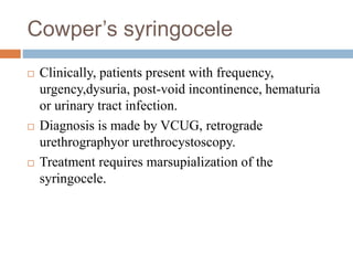 Cowper’s syringocele
 Clinically, patients present with frequency,
urgency,dysuria, post-void incontinence, hematuria
or urinary tract infection.
 Diagnosis is made by VCUG, retrograde
urethrographyor urethrocystoscopy.
 Treatment requires marsupialization of the
syringocele.
 