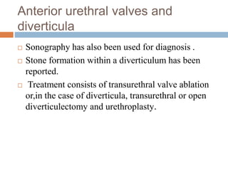 Anterior urethral valves and
diverticula
 Sonography has also been used for diagnosis .
 Stone formation within a diverticulum has been
reported.
 Treatment consists of transurethral valve ablation
or,in the case of diverticula, transurethral or open
diverticulectomy and urethroplasty.
 