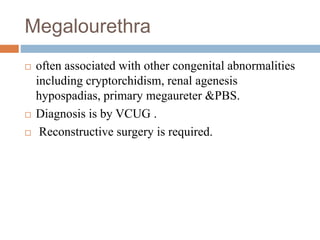 Megalourethra
 often associated with other congenital abnormalities
including cryptorchidism, renal agenesis
hypospadias, primary megaureter &PBS.
 Diagnosis is by VCUG .
 Reconstructive surgery is required.
 