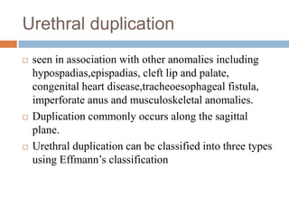 Urethral duplication
 seen in association with other anomalies including
hypospadias,epispadias, cleft lip and palate,
congenital heart disease,tracheoesophageal fistula,
imperforate anus and musculoskeletal anomalies.
 Duplication commonly occurs along the sagittal
plane.
 Urethral duplication can be classified into three types
using Effmann’s classification
 