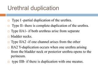 Urethral duplication
 Type I -partial duplication of the urethra.
 Type II- there is complete duplication of the urethra.
 Type IIA1- if both urethras arise from separate
 bladder necks.
 Type IIA2 -if one channel arises from the other
 IIA2 Y-duplication occurs when one urethra arising
from the bladder neck or posterior urethra opens to the
perineum.
 type IIB- if there is duplication with one meatus.
 