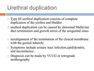 Urethral duplication
 Type III urethral duplication consists of complete
duplication of the urethra and bladder.
 urethral duplication can be caused by abnormal Mullerian
duct termination and growth arrest of the urogenital sinus
.
 misalignment of the termination of the cloacal membrane
with the genital tubercle.
 Symptoms include urinary tract infection,epididymitis,
and incontinence .
 Diagnosis can be made by VCUG or retrograde
urethrography
 