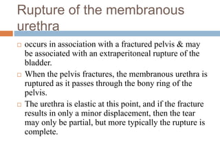 Rupture of the membranous
urethra
 occurs in association with a fractured pelvis & may
be associated with an extraperitoneal rupture of the
bladder.
 When the pelvis fractures, the membranous urethra is
ruptured as it passes through the bony ring of the
pelvis.
 The urethra is elastic at this point, and if the fracture
results in only a minor displacement, then the tear
may only be partial, but more typically the rupture is
complete.
 