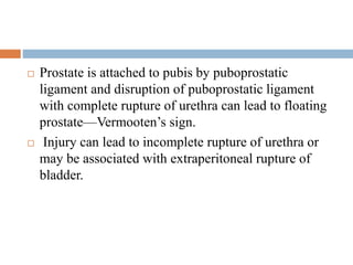  Prostate is attached to pubis by puboprostatic
ligament and disruption of puboprostatic ligament
with complete rupture of urethra can lead to floating
prostate—Vermooten’s sign.
 Injury can lead to incomplete rupture of urethra or
may be associated with extraperitoneal rupture of
bladder.
 