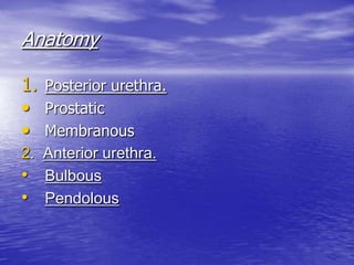 Anatomy
1. Posterior urethra.
• Prostatic
• Membranous
2. Anterior urethra.
• Bulbous
• Pendolous
 