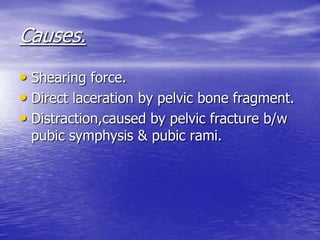 Causes.
• Shearing force.
• Direct laceration by pelvic bone fragment.
• Distraction,caused by pelvic fracture b/w
pubic symphysis & pubic rami.
 
