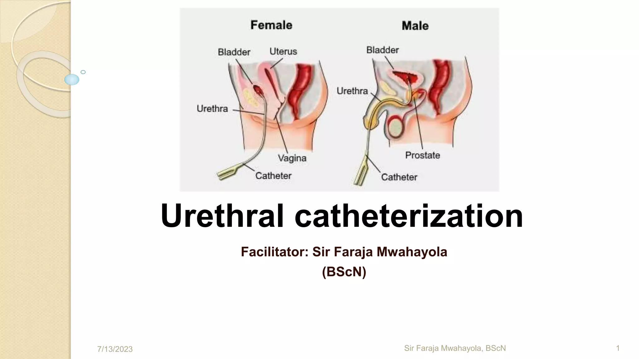 URETHRAL CATHETERIZATION ppt