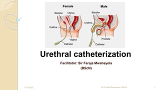 Urethral catheterization
Facilitator: Sir Faraja Mwahayola
(BScN)
7/13/2023 Sir Faraja Mwahayola, BScN 1
 