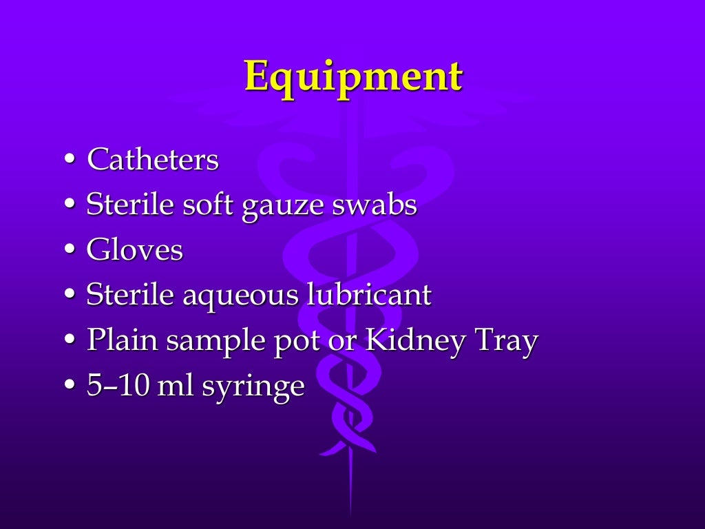 Urethral catheterization male dog