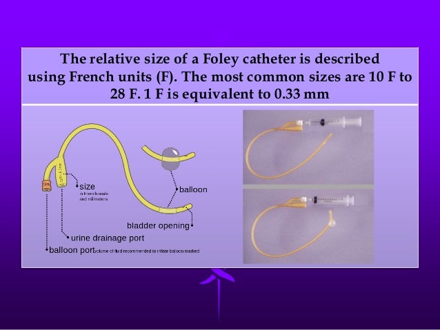 French Size Chart Catheter
